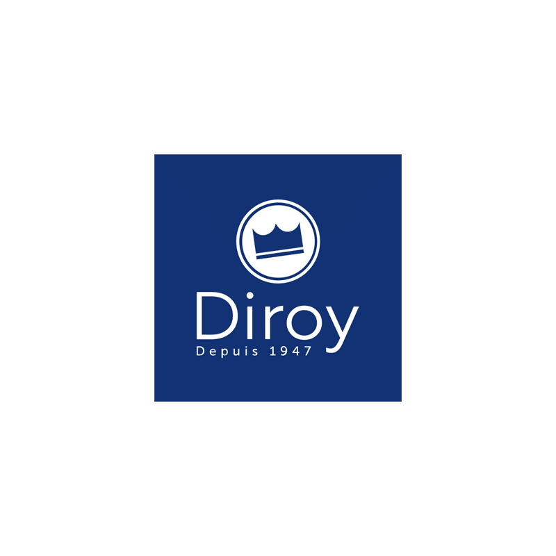 logo diroy